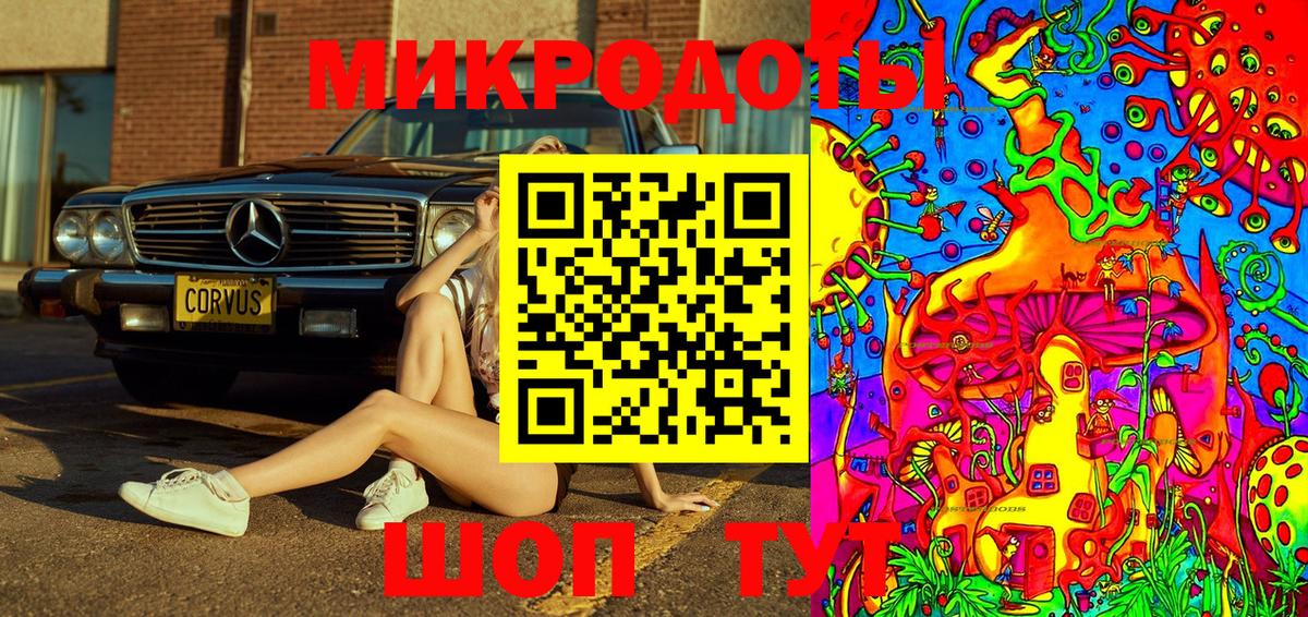 Галлюциногенные грибы Cubensis Кунгур