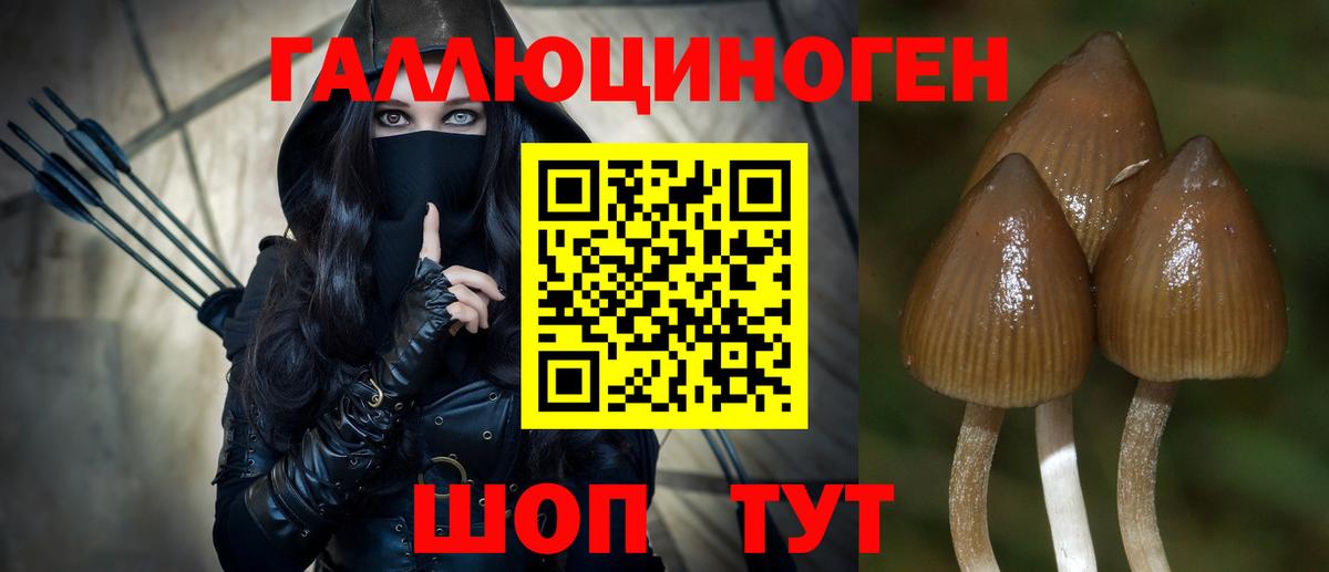 Псилоцибиновые грибы GOLDEN TEACHER  Вход с VPN  Галлюциногенные грибы мицелий  Кунгур 